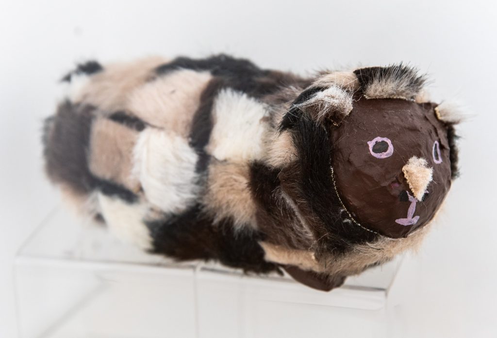 Léo le cochon d'Inde