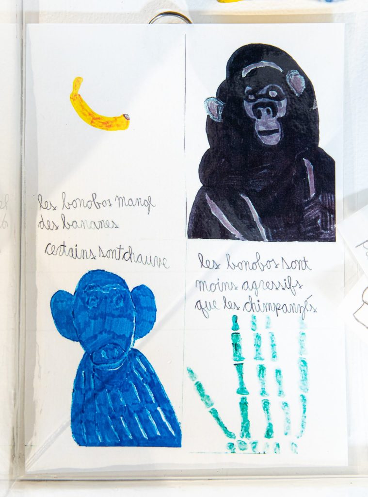 Oeuvre de Benjamin Pelletier